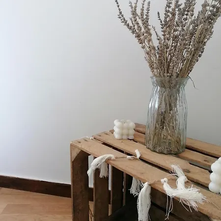 A Avec Garage Prive En Centre *